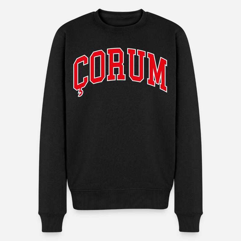 Çorum - Männer Premium Bio Pullover - Schwarz