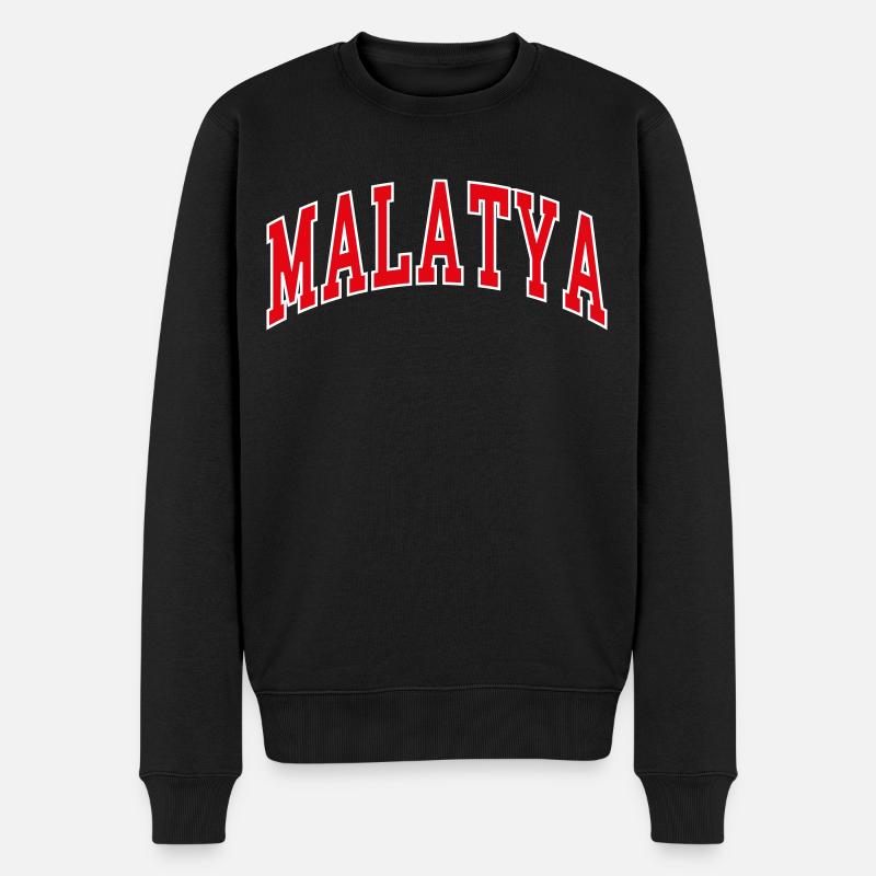 Malatya - Männer Premium Bio Pullover - Schwarz