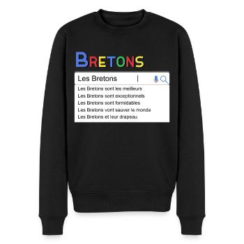 Bretons Idée Cadeau Humour Bretagne - Pull Premium bio Homme - noir - Devant - Nico (187cm)