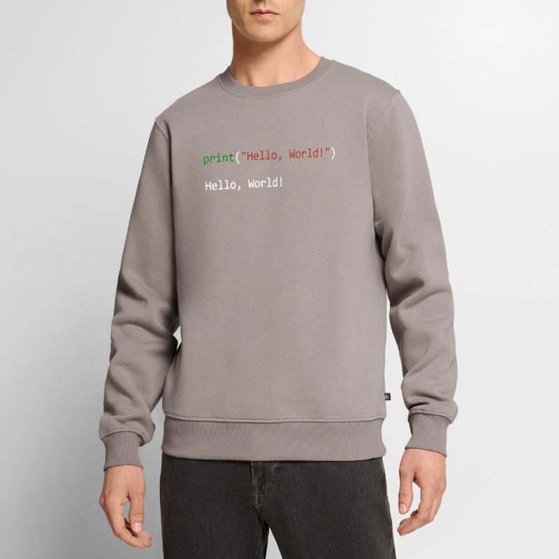 Hello World lustiges Geschenk Python Programmierer Männer Premium Bio Pullover