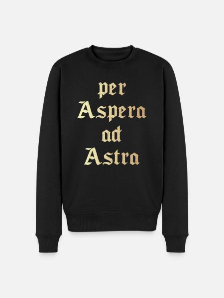 Per aspera ad astra - Men's Premium Organic Jumper - black