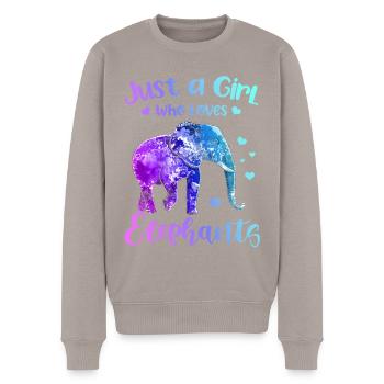 Elefant Tshirt für Elefanten Elephant Kinder Zoo - Männer Premium Bio Pullover - Taupe - Vorne - Nico (187cm)