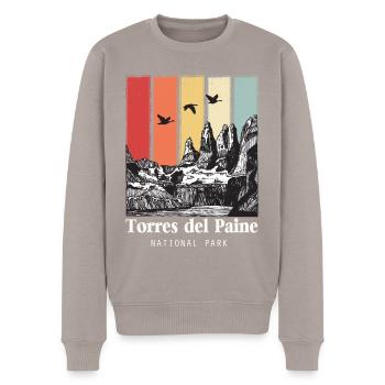 Parc national Torres del Paine Patagonie Chili Glace - Pull Premium bio Homme - taupe - Devant - Nico (187cm)
