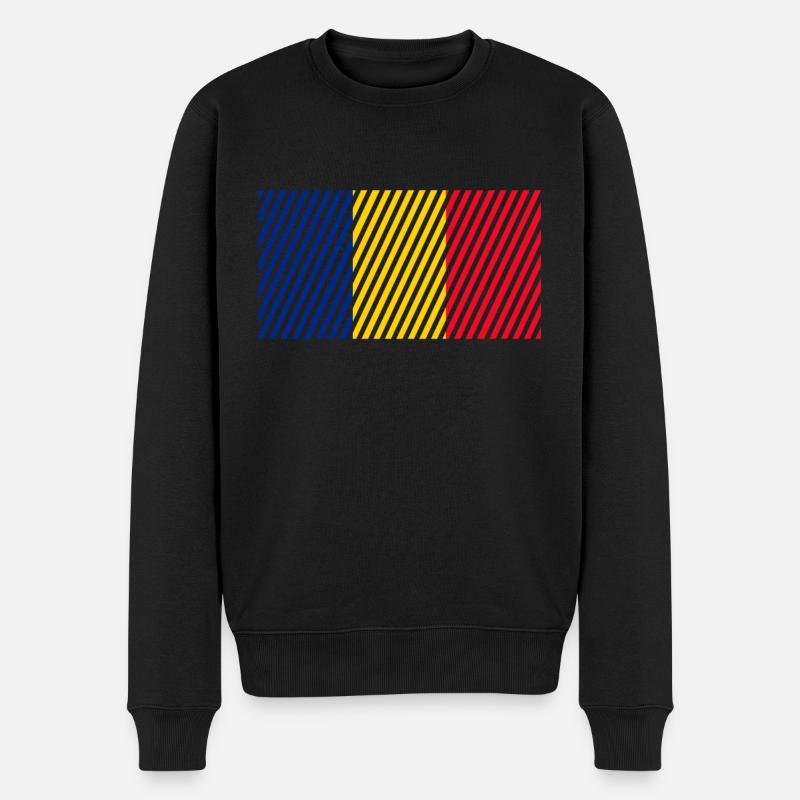 Drapeau de la Roumanie - Pull Premium bio Homme - noir