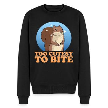 Süßes Eichhörnchen Hörnchen Geschenk - Männer Premium Bio Pullover - Schwarz - Vorne - Nico (187cm)