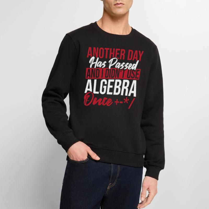 Algebra Lover Graph Math Nerd I Didn't Use Algebra Männer Premium Bio Pullover