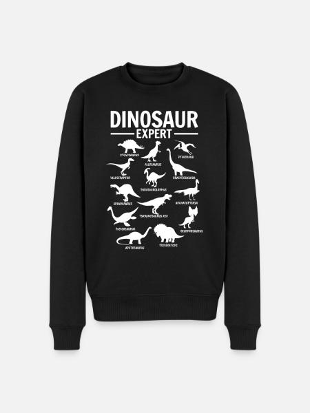 Dinos Funny Dinosaur Expert - Men's Premium Organic Jumper - black