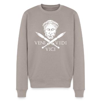César et les épées - Veni Vidi Vici - Pull Premium bio Homme - taupe - Devant - Nico (187cm)