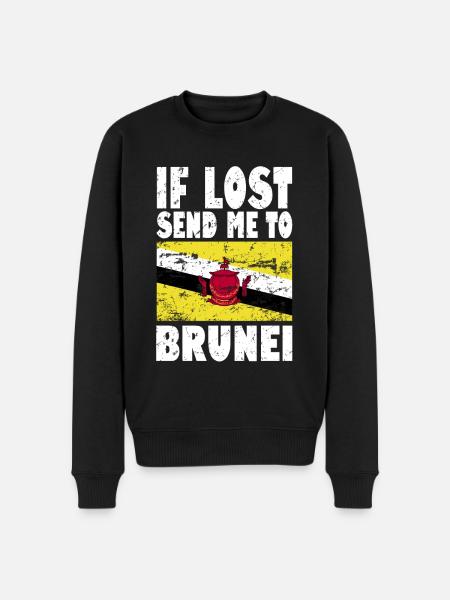Drapeau du Brunei - Pull Premium bio Homme - noir