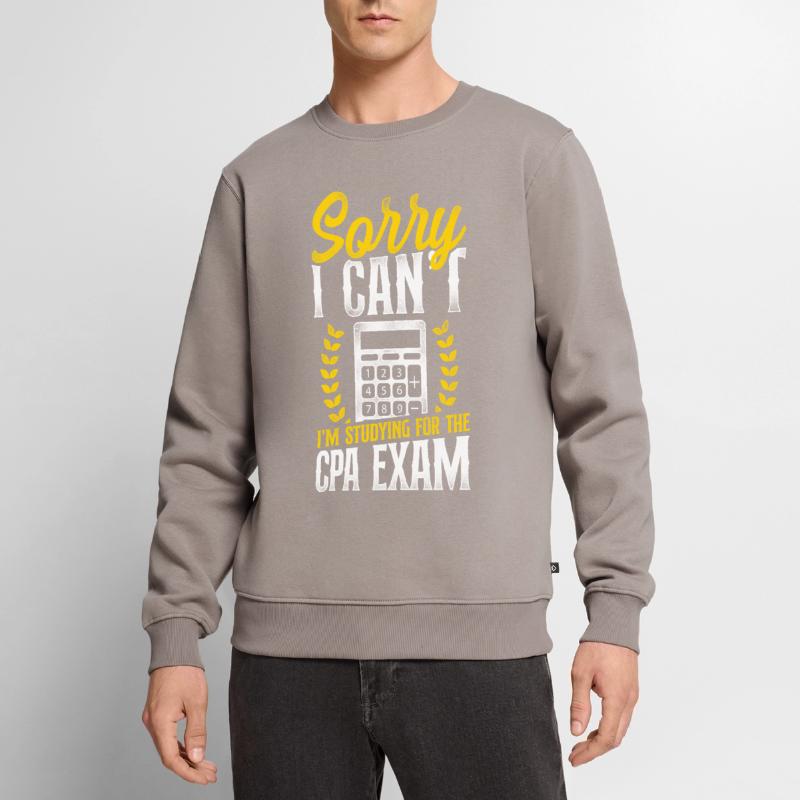 Comptable Comptable Comptable Comptabilité Pull Premium bio Homme