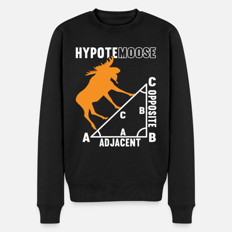 Mathe Mathelehrer - Männer Premium Bio Pullover - Schwarz