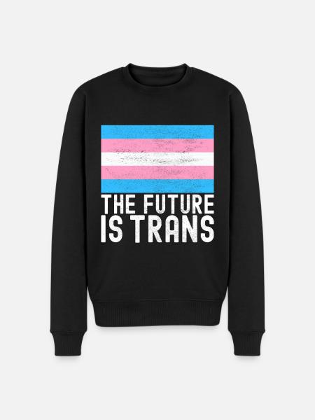 Transgender Trans LGBTQ - Men's Premium Organic Jumper - black