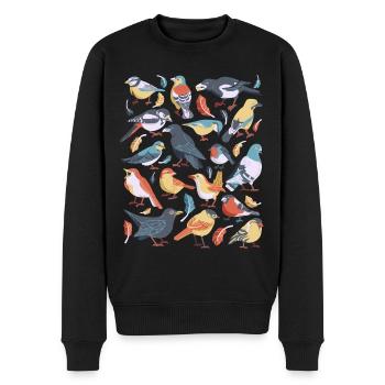 Vögel - Männer Premium Bio Pullover - Schwarz - Vorne - Nico (187cm)