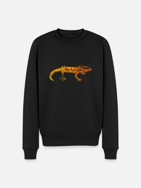 Farbenfroher Gecko - Männer Premium Bio Pullover - Schwarz