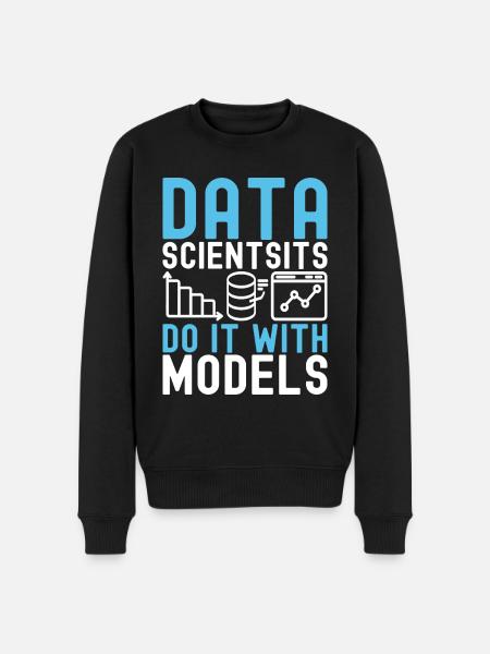 Data Science Datenanalyst - Männer Premium Bio Pullover - Schwarz
