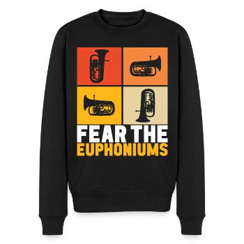 Euphonium Euphonist - Männer Premium Bio Pullover - Schwarz - Vorne - Nico (187cm)
