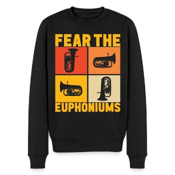 Euphonium Euphonist - Männer Premium Bio Pullover - Schwarz - Vorne - Nico (187cm)