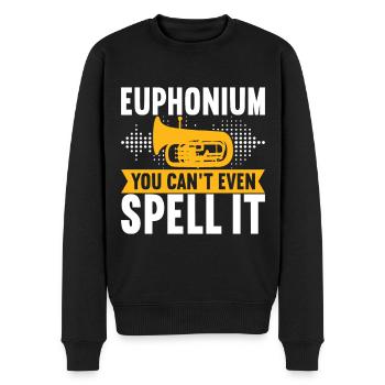 Euphonium Euphonist - Männer Premium Bio Pullover - Schwarz - Vorne - Nico (187cm)