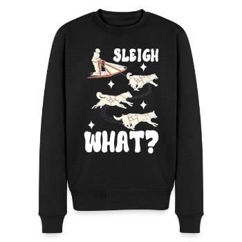 Sledding Sled dogs - Men's Premium Organic Jumper - black - Front - Nico (187cm)