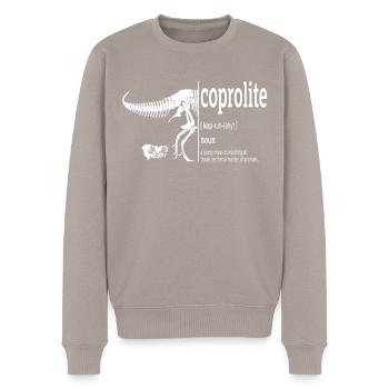 L’humour des dinosaures de la paléontologie - Pull Premium bio Homme - taupe - Devant - Nico (187cm)