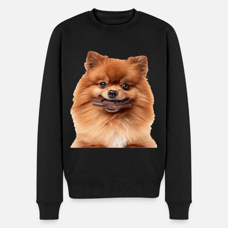 Zwergspitz - Männer Premium Bio Pullover - Schwarz