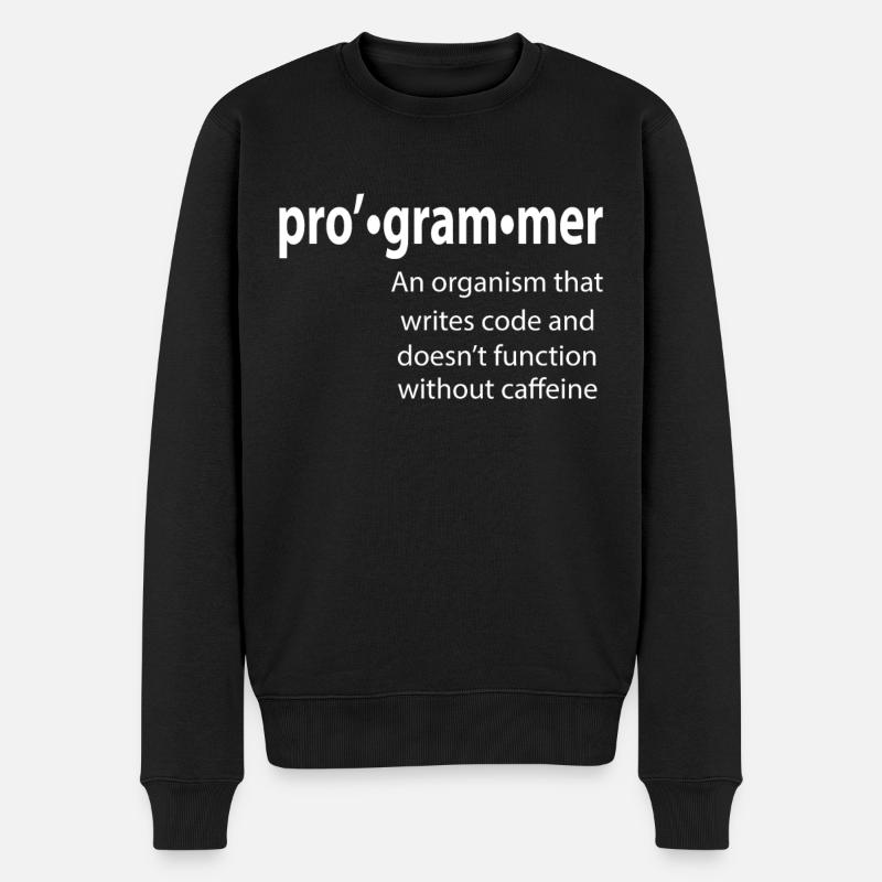 Programmierer - Coder - Hacker - IT - Männer Premium Bio Pullover - Schwarz