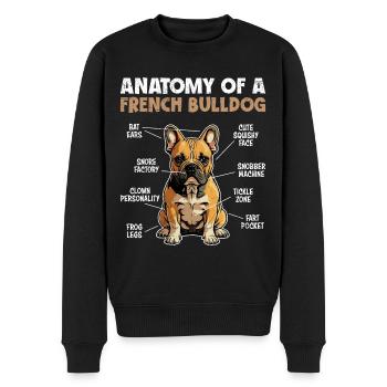 Anatomie einer Französischen Bulldogge - Männer Premium Bio Pullover - Schwarz - Vorne - Nico (187cm)