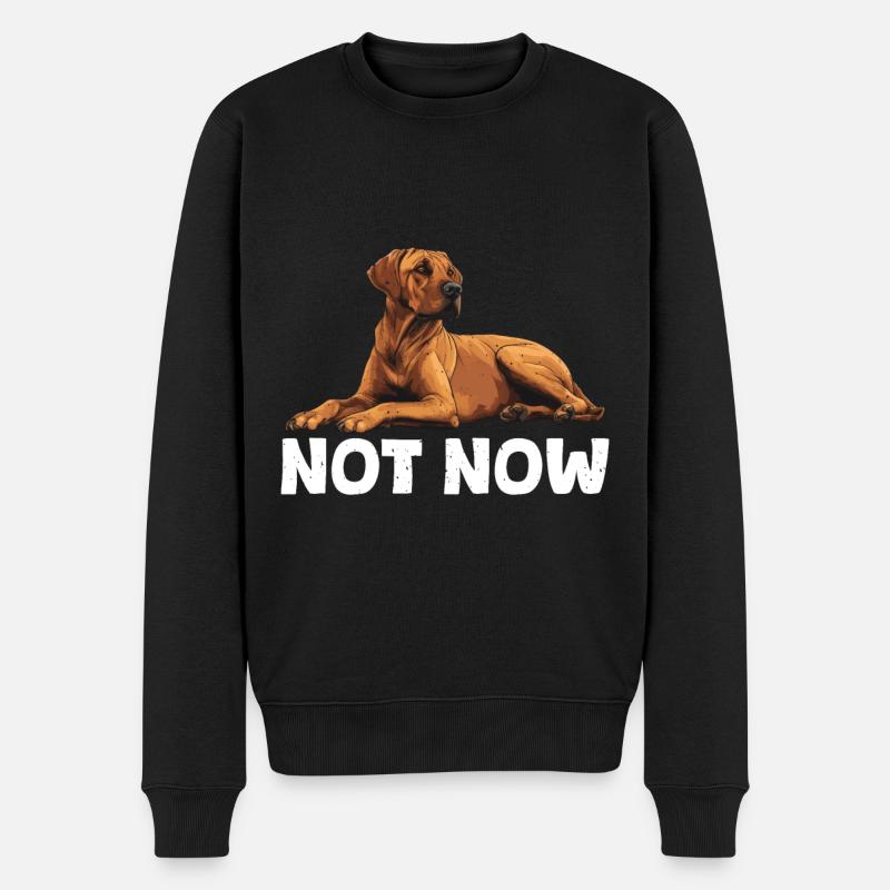 Rhodesian Ridgeback NOT NOW Hundebesitzer - Männer Premium Bio Pullover - Schwarz