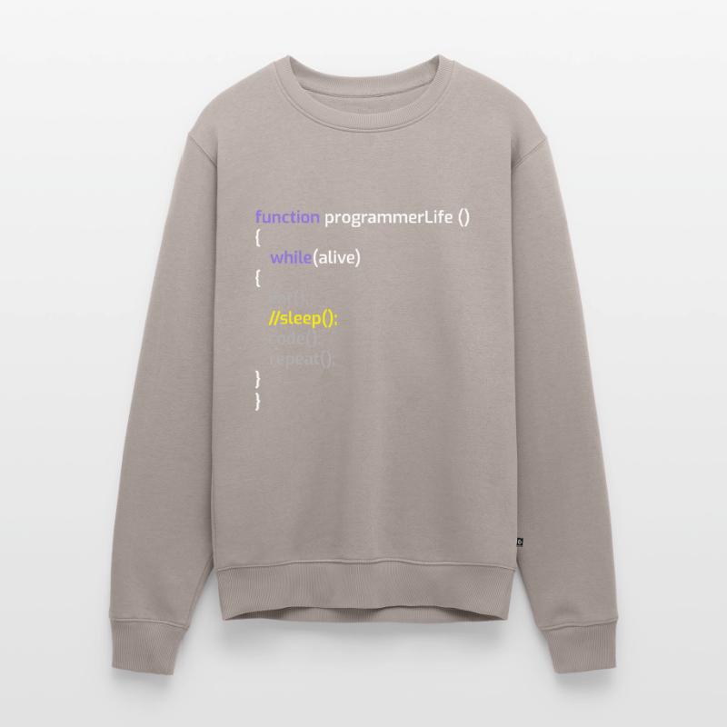 Computerprogrammierer Codierer Software Engineers Geschenk Männer Premium Bio Pullover