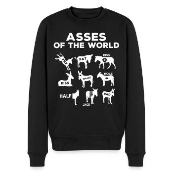 Esel Der Welt, Esel - Männer Premium Bio Pullover - Schwarz - Vorne - Nico (187cm)