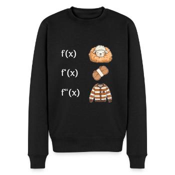 Schaf Wolle Pullover Ableitung f(x) Algebra Lehrer - Männer Premium Bio Pullover - Schwarz - Vorne - Nico (187cm)