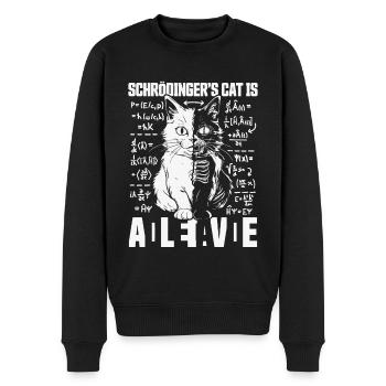 SCHRÖDINGERS KATZE DEAD AND ALIVE QUANTEN PHYSIK - Männer Premium Bio Pullover - Schwarz - Vorne - Nico (187cm)