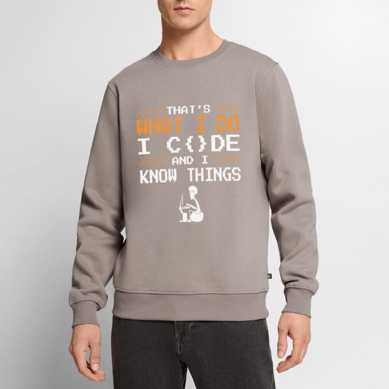 Cooler Spruch Developer Coden Programmierer Code Männer Premium Bio Pullover