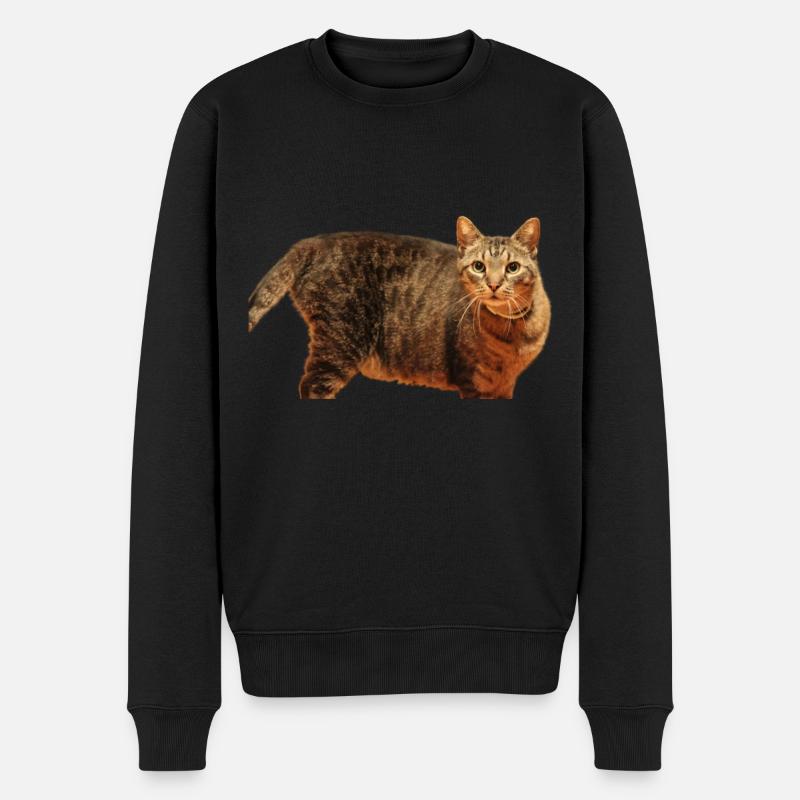 Katze Kätzchen - Männer Premium Bio Pullover - Schwarz