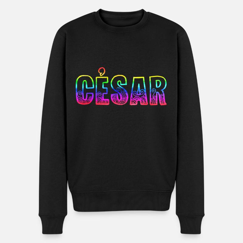 césar rs regenbogen - Männer Premium Bio Pullover - Schwarz