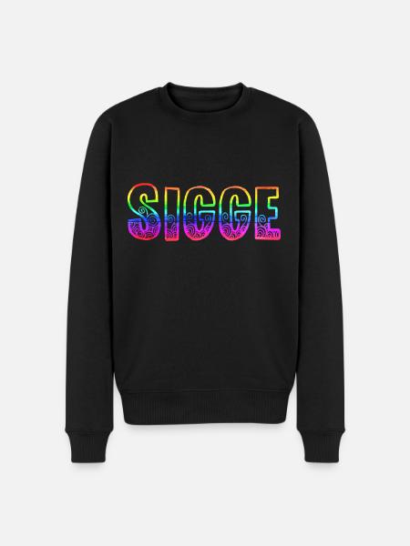sigge rs rainbow - Men's Premium Organic Jumper - black