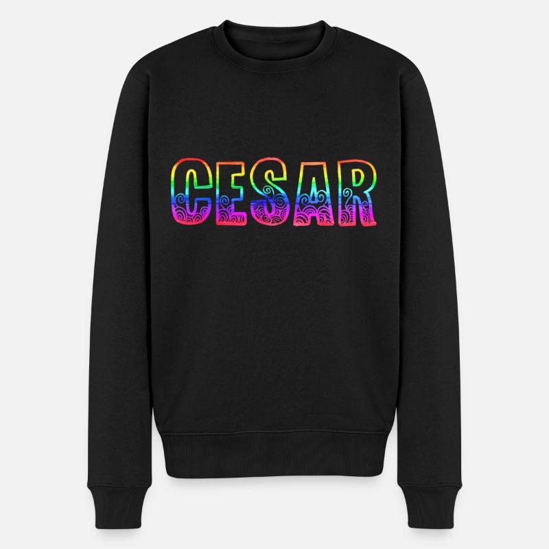 cesar rs regenbogen - Männer Premium Bio Pullover - Schwarz