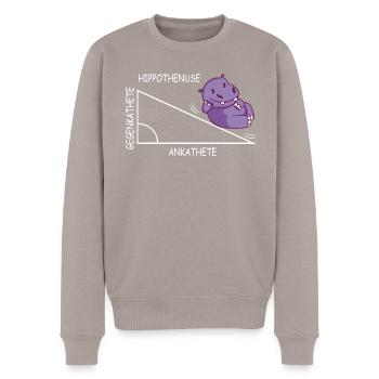 Lustiges Mathe Wortspiel Hippothenuse Nilpferd - Männer Premium Bio Pullover - Taupe - Vorne - Nico (187cm)