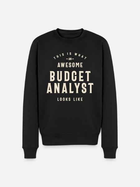 Awesome Budget Analyst - Men's Premium Organic Jumper - black