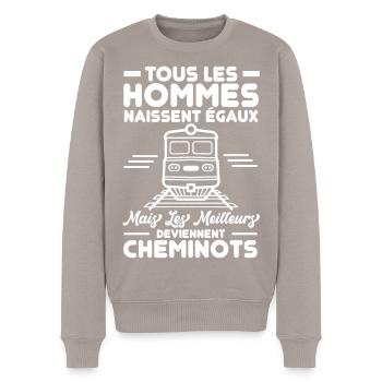 Cheminots - Pull Premium bio Homme - taupe - Devant - Nico (187cm)