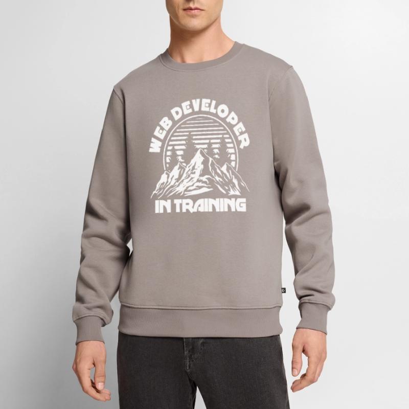 Web Developer Web Developer Training Men's Premium Organic Jumper