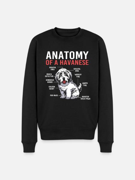 Havanese - Men's Premium Organic Jumper - black