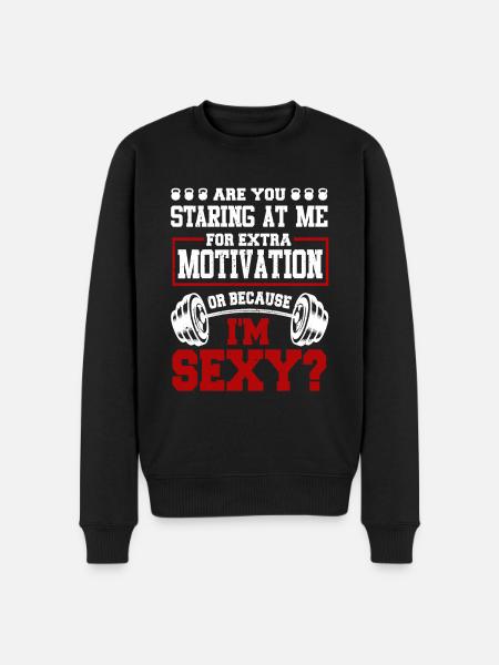 Personal trainer - Männer Premium Bio Pullover - Schwarz