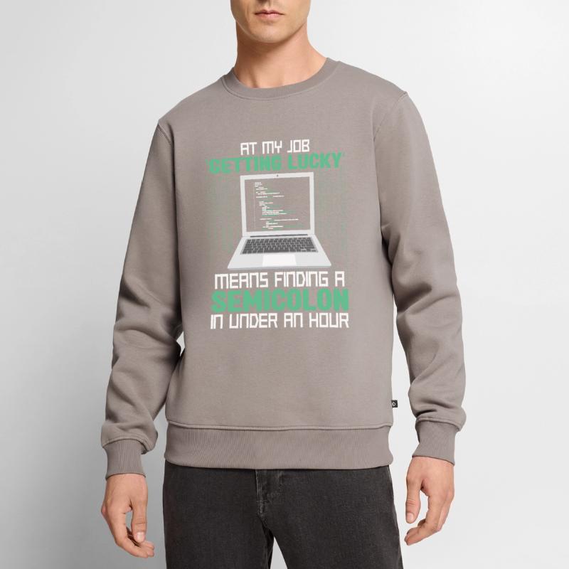 Programmeur Développeur Codage Codeur Pull Premium bio Homme