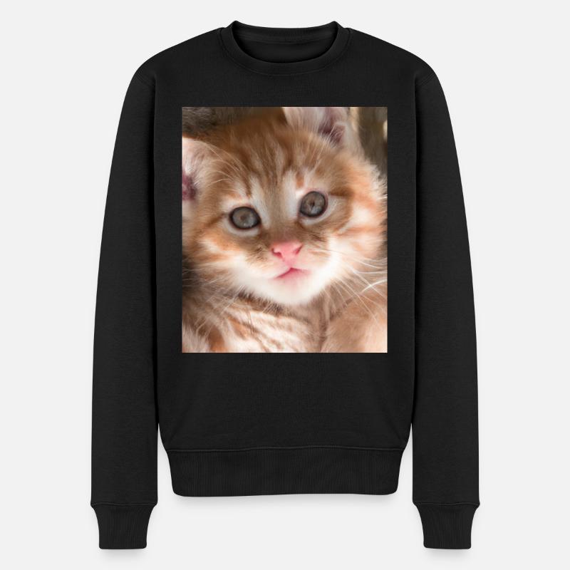 Chat mignon - Pull Premium bio Homme - noir