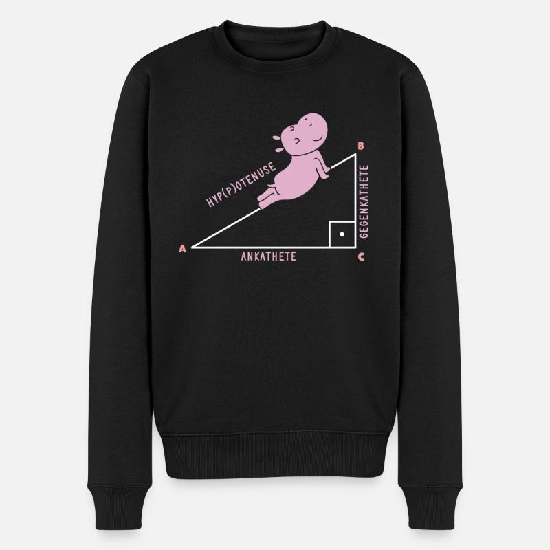 Professeur de mathématiques formule de mathématiques mathématicien professeur de mathématiques - Pull Premium bio Homme - noir
