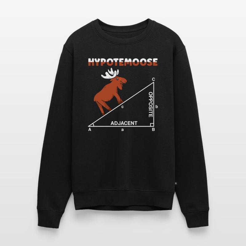 Hypotemoose Professeur de mathématiques Mathématicien Math Pull Premium bio Homme
