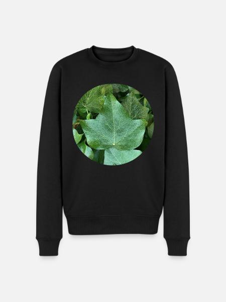 Efeu - Männer Premium Bio Pullover - Schwarz