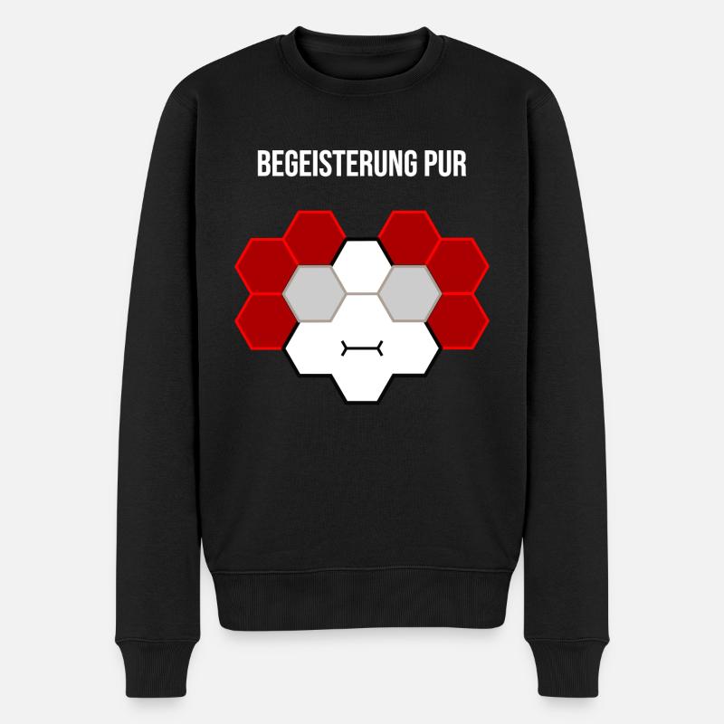 Begeisterung pur - Männer Premium Bio Pullover - Schwarz