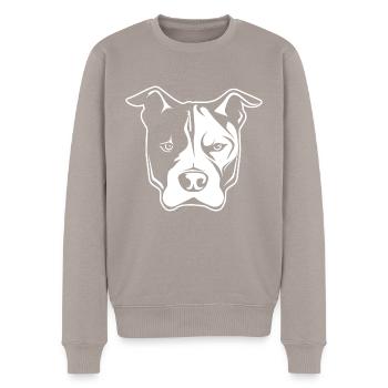 Pitbull - Pull Premium bio Homme - taupe - Devant - Nico (187cm)